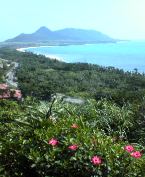 f0137483_1726394.jpg
