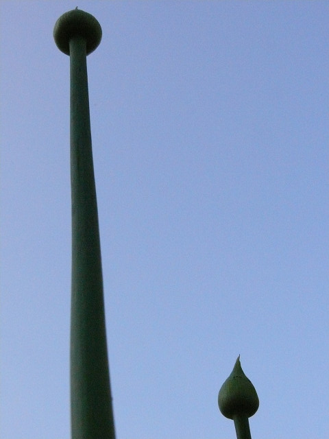 a0067201_214145100.jpg