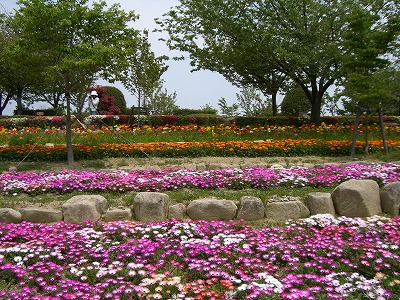 c0076204_1224171.jpg