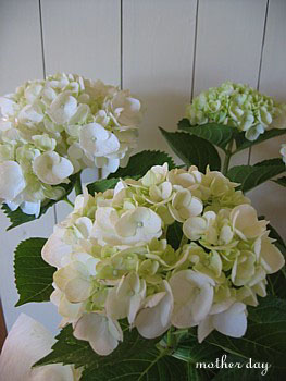 e0091804_21175847.jpg