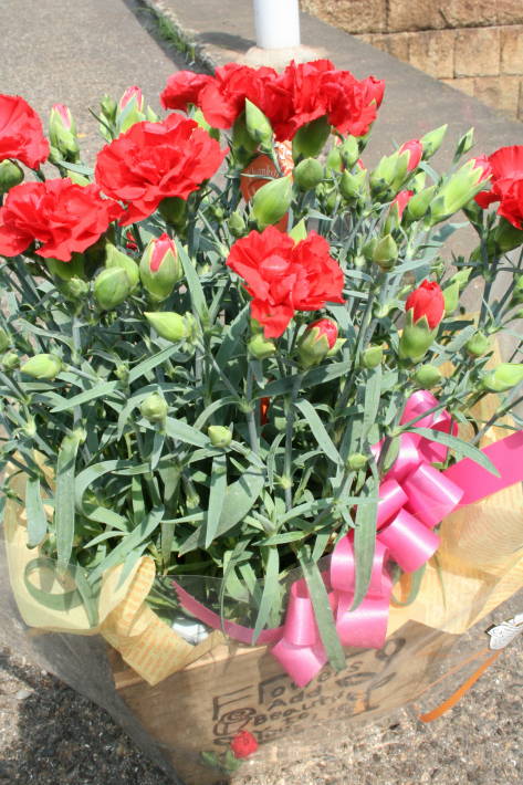f0031304_739564.jpg
