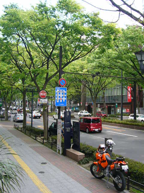 b0050305_17514664.jpg