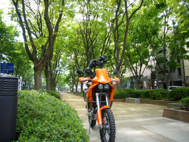 b0050305_17522256.jpg