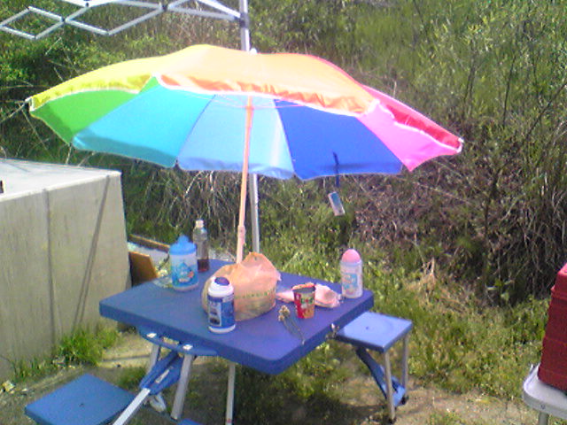 d0070007_8304544.jpg
