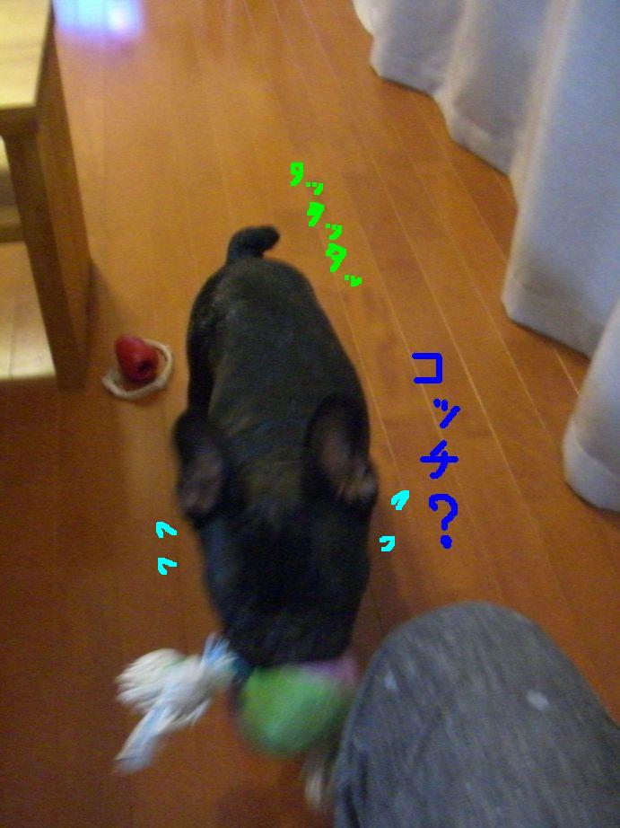 c0113109_21451758.jpg