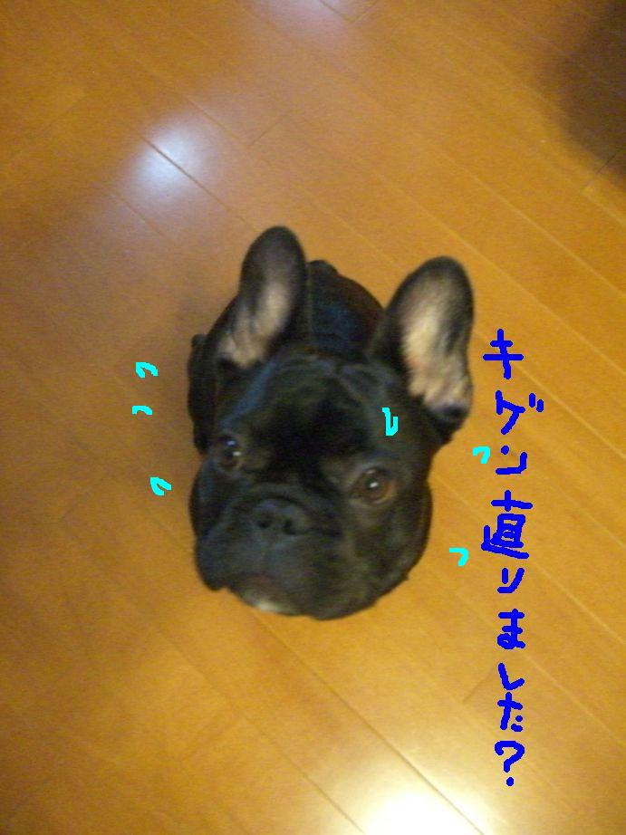 c0113109_21562232.jpg