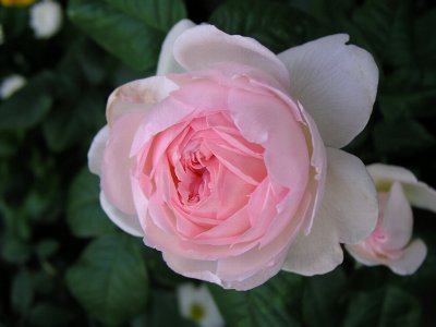 b0031925_7313111.jpg