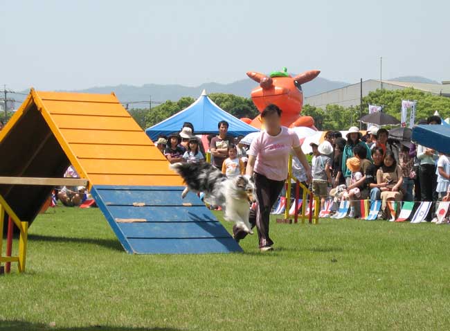 b0066826_13453072.jpg