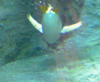 f0071826_027331.jpg
