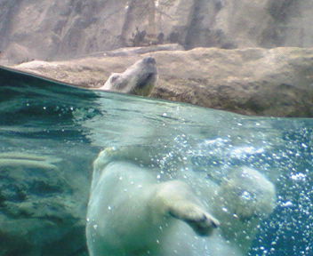 f0071826_02737.jpg