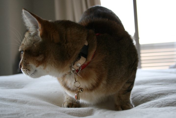 f0055228_1734881.jpg