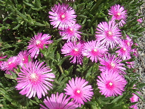 a0054240_14192335.jpg