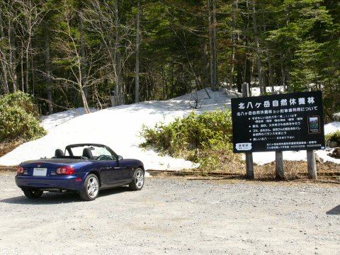 f0068341_231387.jpg