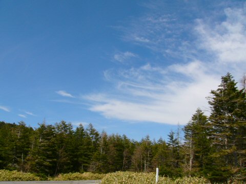 f0068341_232541.jpg