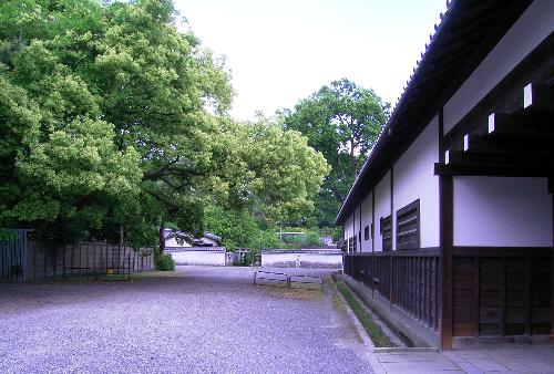 c0072843_19544335.jpg