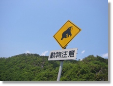 f0000644_1565557.jpg