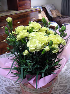d0035245_18541681.jpg