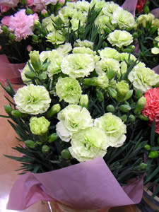 d0035245_18545295.jpg
