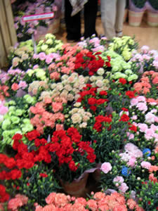 d0035245_1854637.jpg