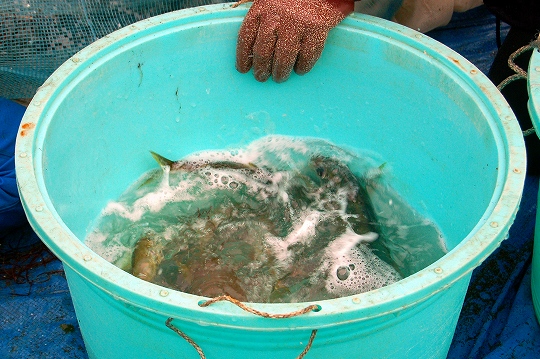 d0123346_15305270.jpg