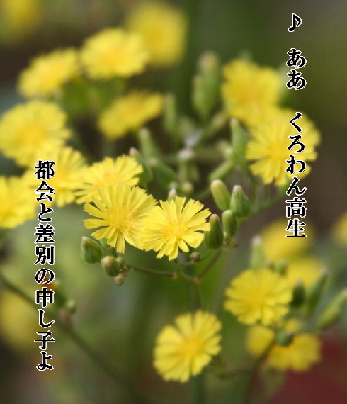 d0013149_0234280.jpg