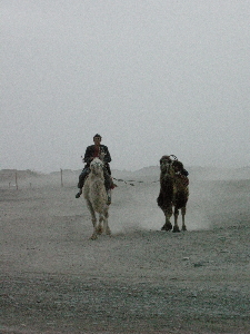 a0003150_9132720.jpg