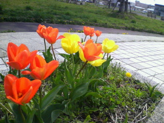 c0071951_2355188.jpg