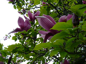 a0074653_22353179.jpg