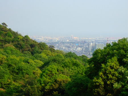 e0088654_13464837.jpg