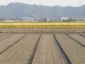 f0062055_1828875.jpg