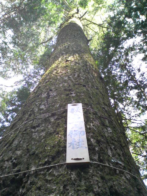 f0051256_19172376.jpg