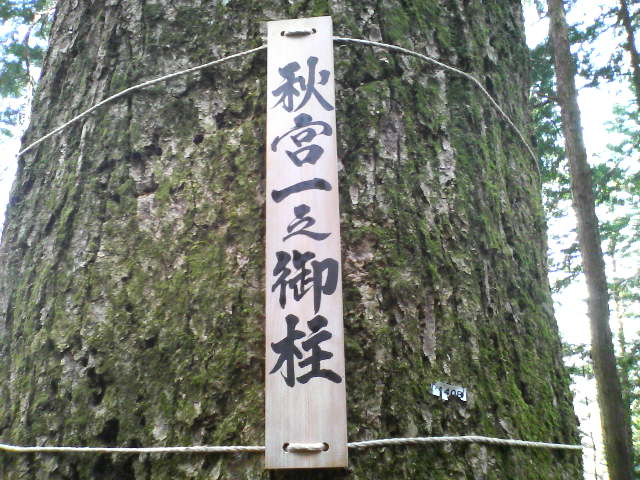 f0051256_1917782.jpg