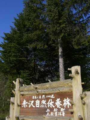 f0104057_15214264.jpg