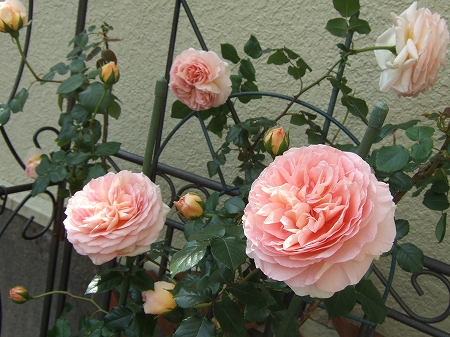 c0097558_0161446.jpg