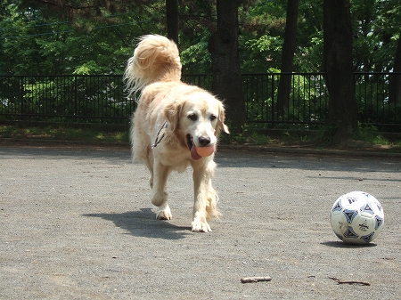 c0097558_0255796.jpg