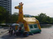 d0000459_17315753.jpg