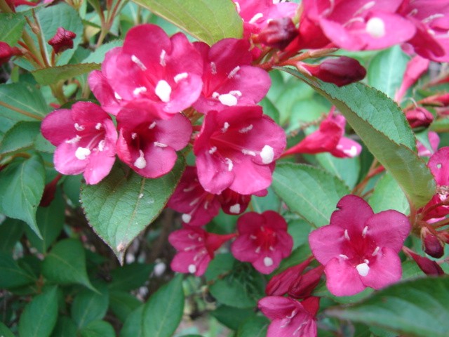 b0061261_2253456.jpg