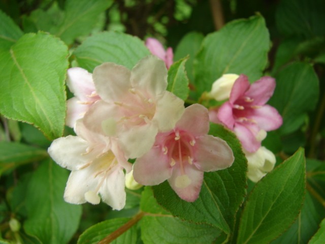 b0061261_22552591.jpg
