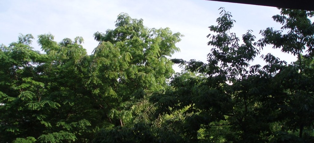 b0091164_16503838.jpg