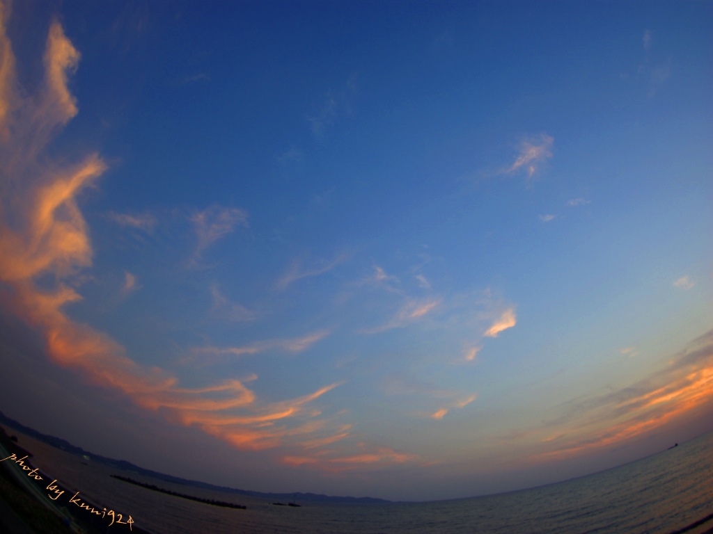 f0131365_16551058.jpg