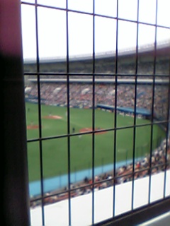e0095468_1320534.jpg