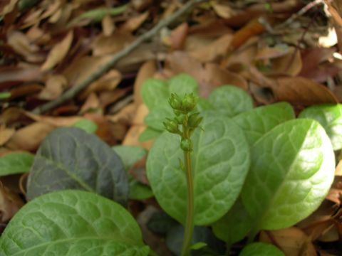 c0042869_2133212.jpg
