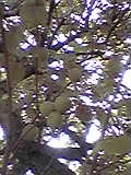 d0109373_19452491.jpg