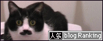 b0041182_1215897.gif