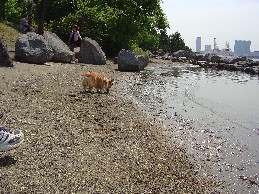 b0076384_22503353.jpg