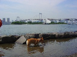 b0076384_22511163.jpg