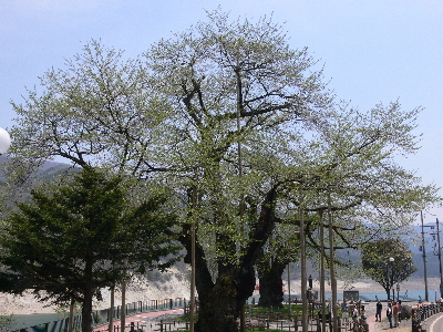 f0103688_23172072.jpg