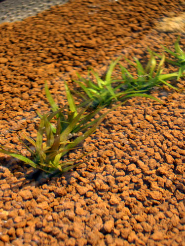 a0049090_10375820.jpg