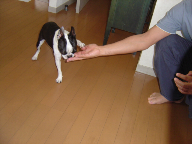 d0087091_1541388.jpg