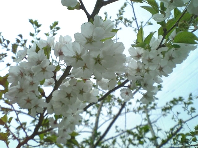 f0079191_21515623.jpg